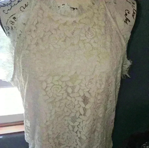 Berryou Womans Top - Picture 3 of 9